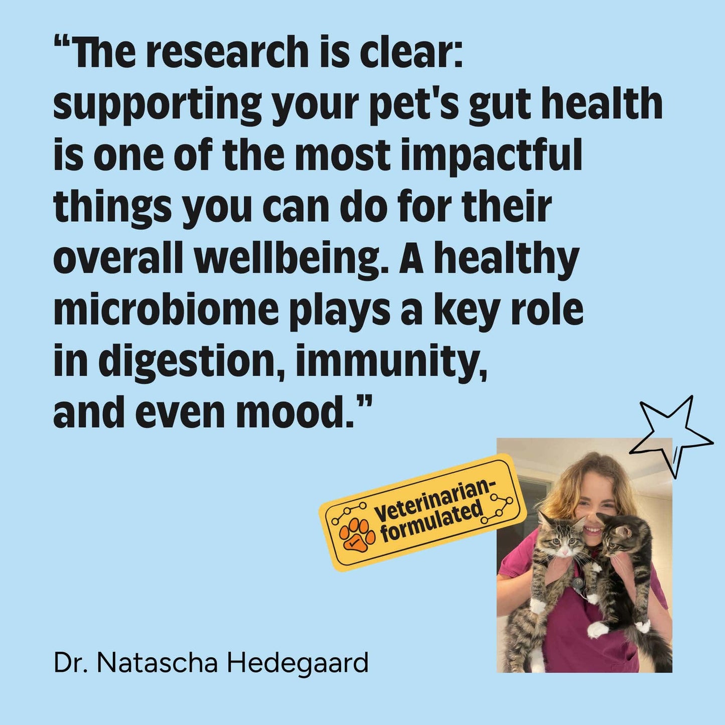 Quote about pet gut health with a veterinarian holding a cat on a blue background