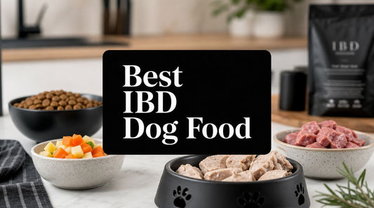 Best Food For Dogs With IBD: Effective Diet Strategies