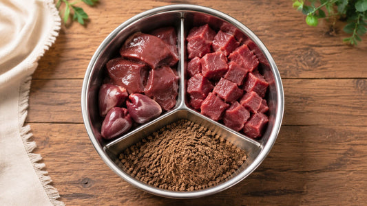 By Products in Dog Food