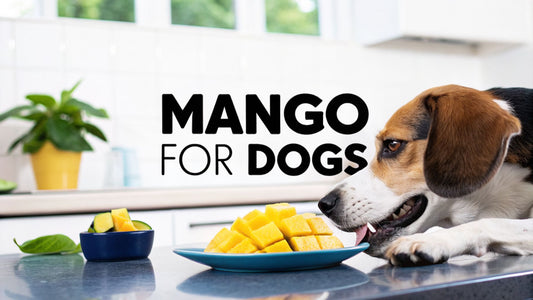 Can Dogs Eat Mango? can dog eat mango - Vet Guide 2026