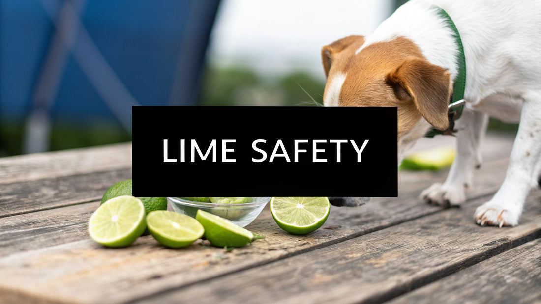 Can Dogs Eat Lime? A Complete Guide to Citrus Safety