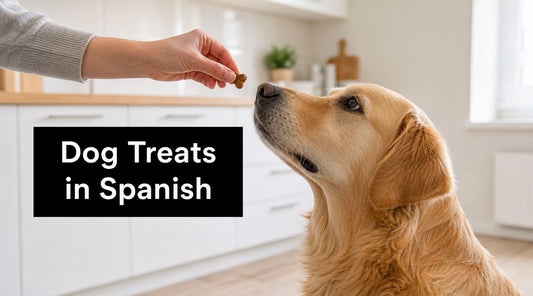 Dog Treat in Spanish: A Guide for Brands & Owners