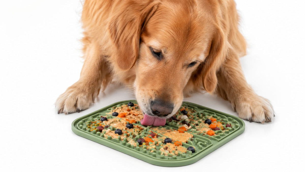 Dog Treat Mat Guide for Enrichment and Slow Feeding
