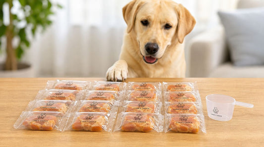 Top Dog Treats Individually Wrapped: Health Focus 2026
