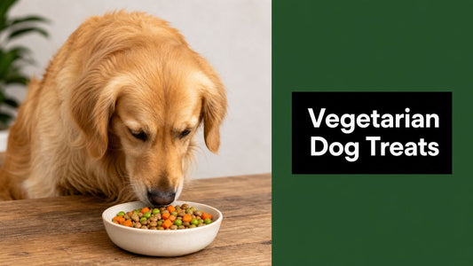 Dog Treats Vegetarian: A Vet-Informed Guide for 2026