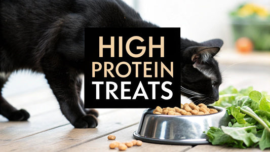 A Guide to High Protein Cat Treats