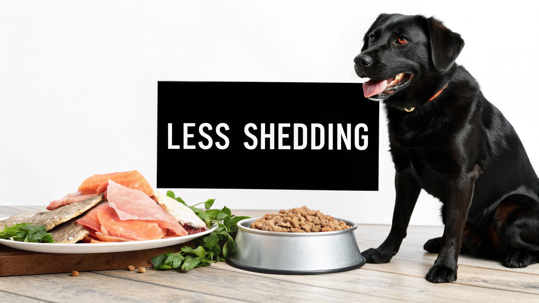 Dog Food Reduce Shedding: Top Tips for a Healthier Coat
