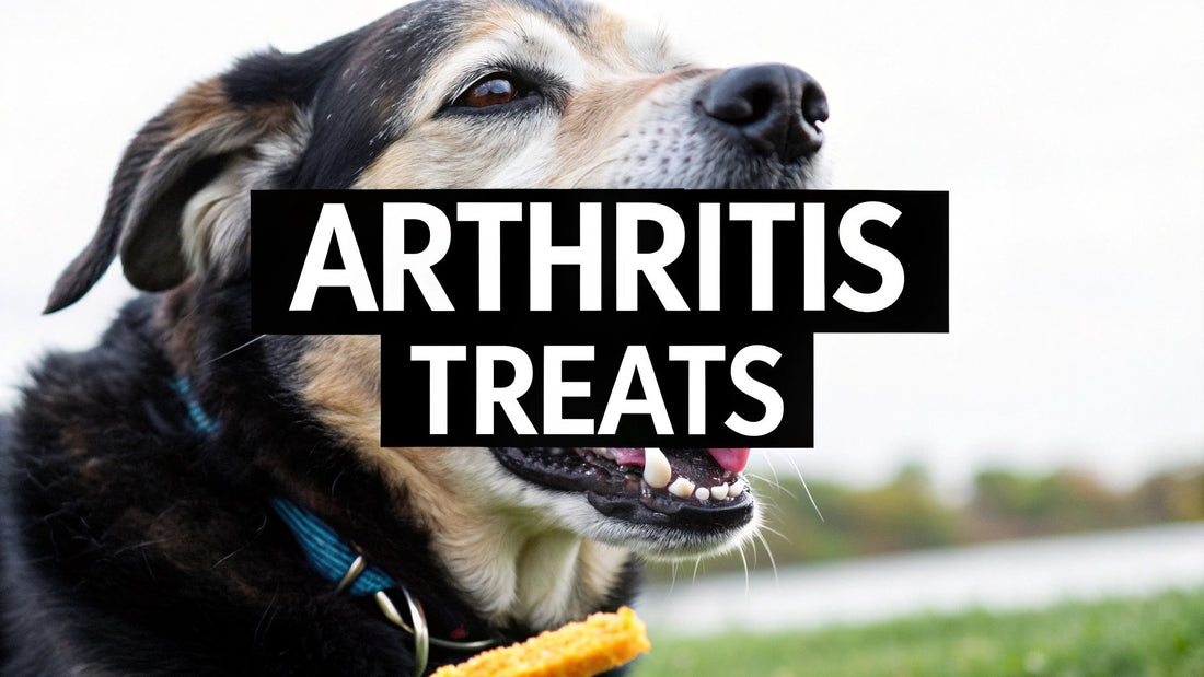 Dog Treats for Arthritis an Owner's Guide