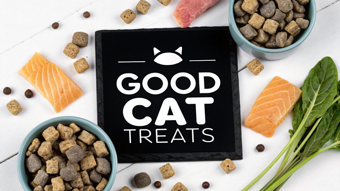 What Are Good Cat Treats? A Guide to Healthy Choices