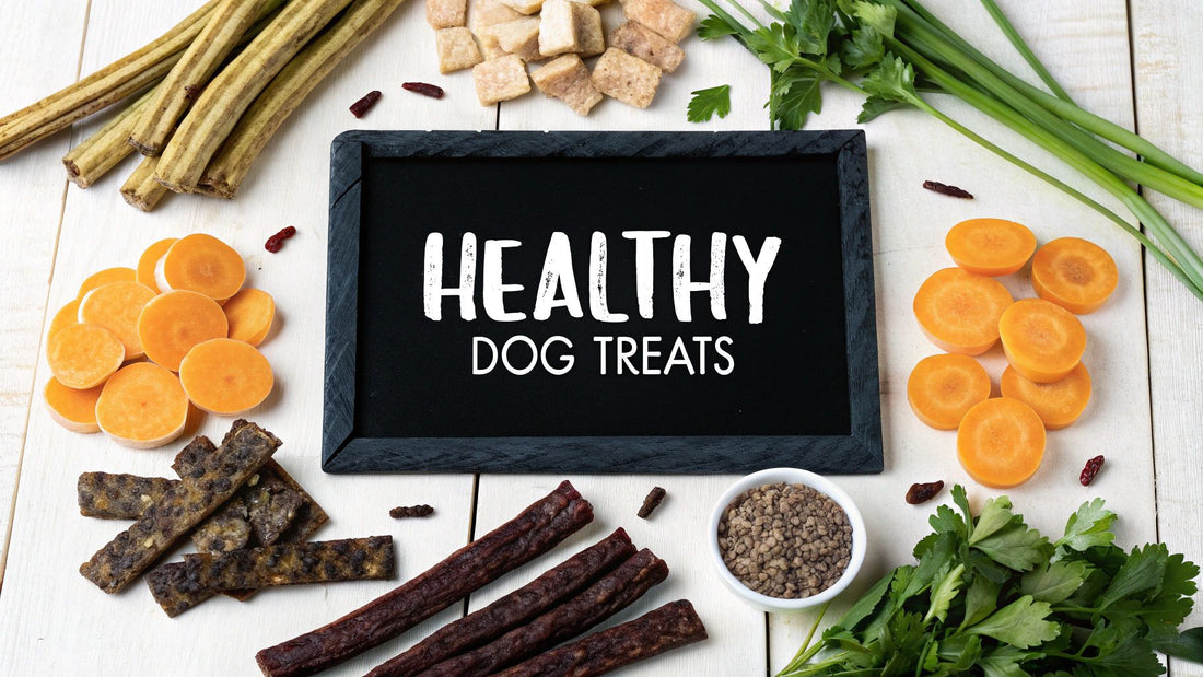 Top Tips for the Healthiest Treats for Dogs You Can Trust
