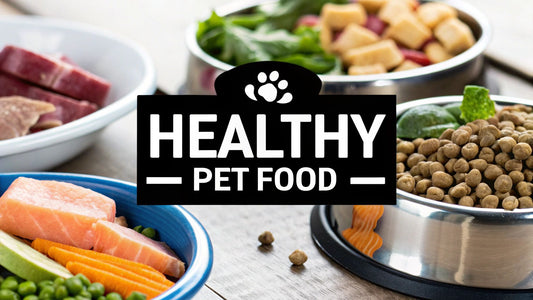 Top Healthy Pet Food Brands for Your Pet's Wellbeing