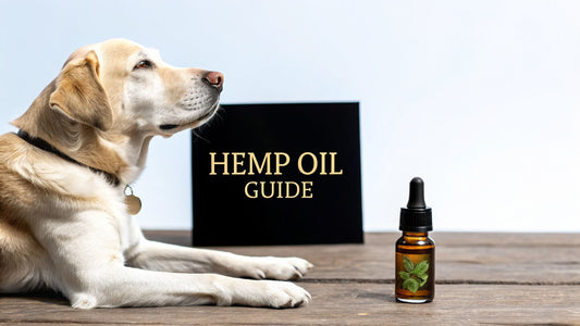 A Pet Parent's Guide to Hemp Oil for Dogs