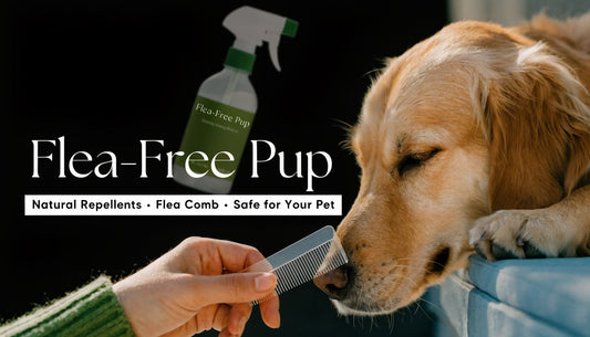 Home Remedy for Fleas on Dog: A Vet-Informed Guide