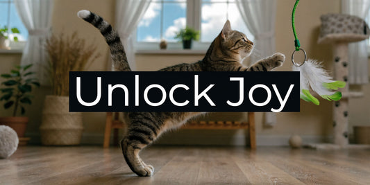 Unlock Joy: How to Keep Indoor Cats Entertained
