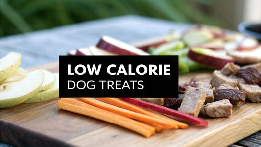 Low Calorie Dog Treats Your Guide to Healthy Snacking