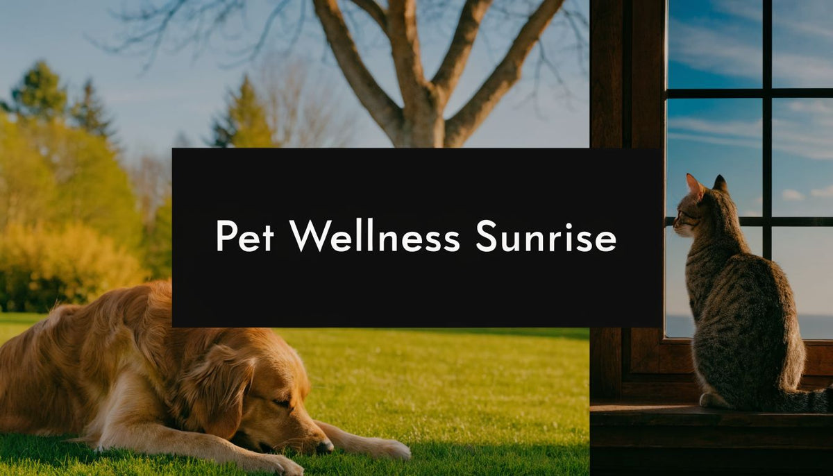 Pet Wellness Rising Sun: A Healthy Start for 2026