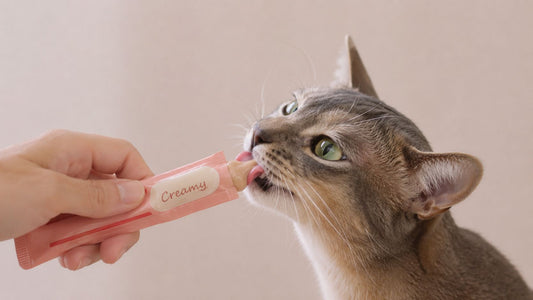 Squeezable Cat Treats: A Complete Owner's Guide