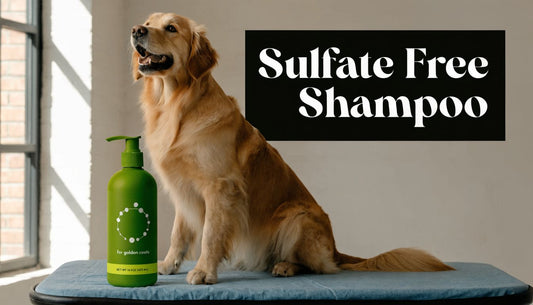 Sulfate Free Dog Shampoo: A Guide for Pet Parents (2026)