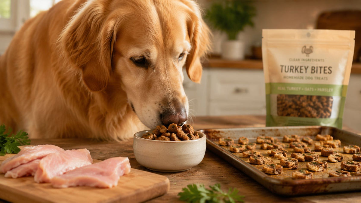 Turkey Dog Treats: Nutrition, Safety, and Smart Buying Tips