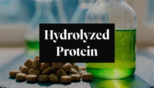 What Does Hydrolyzed Protein Mean? A 2026 Guide