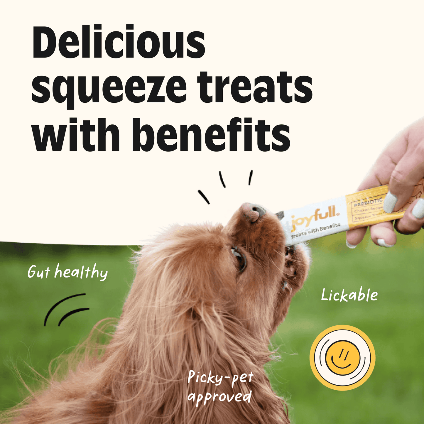 Dog licking a Joyfull treat with text about benefits on a grassy background