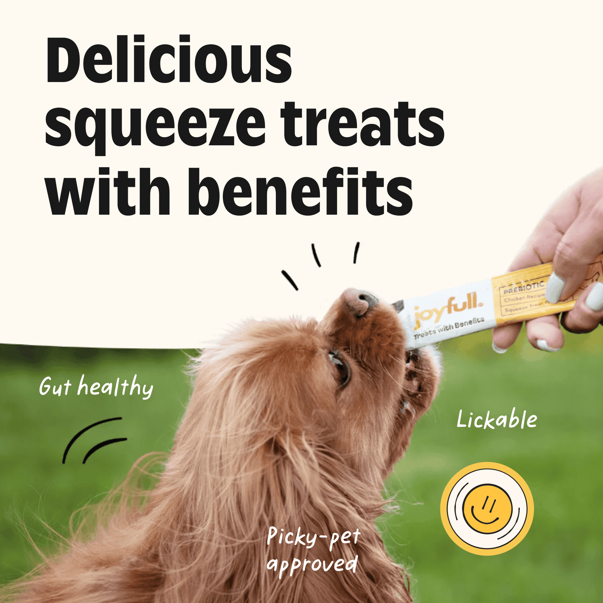 Dog licking a Joyfull treat with text about benefits on a grassy background