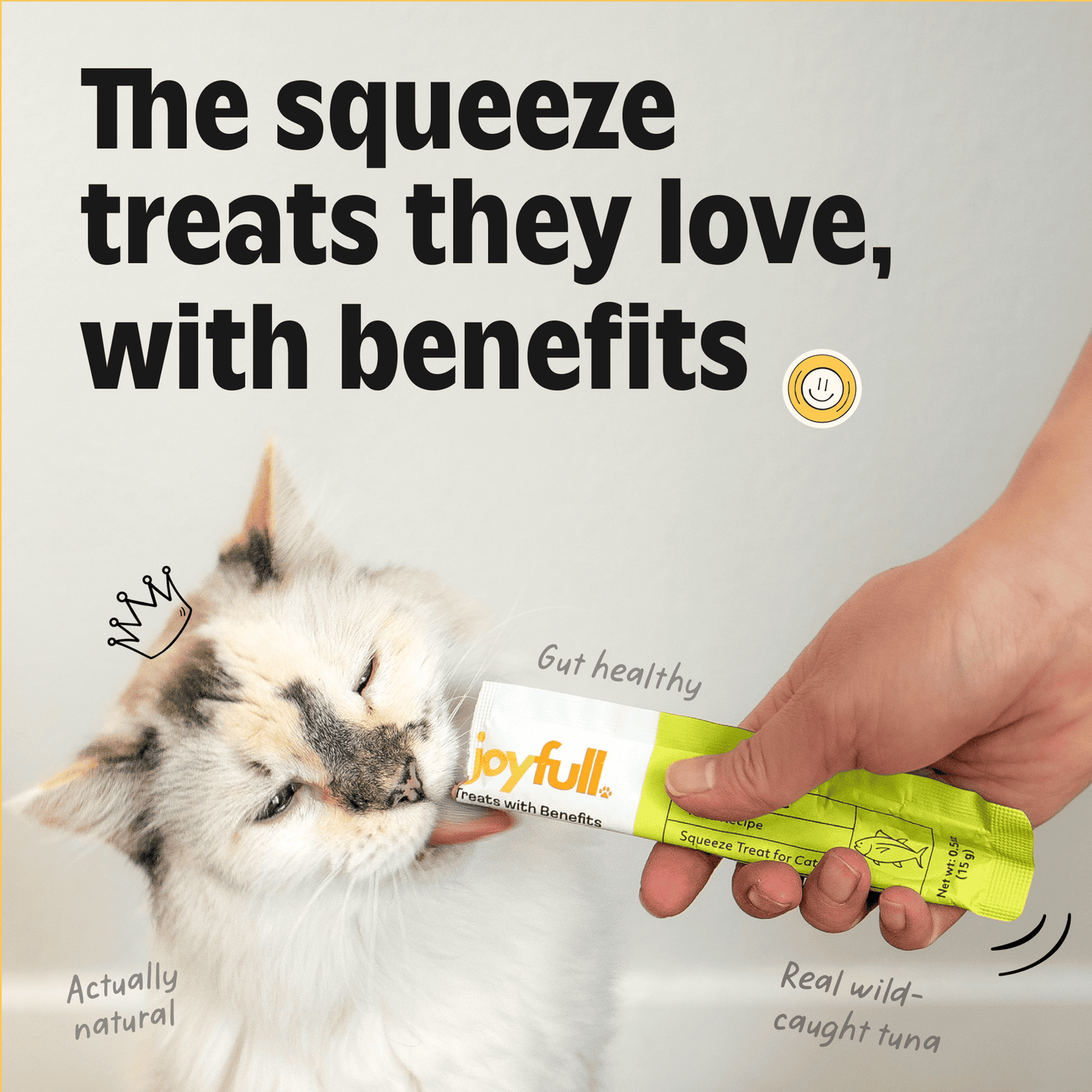 Cat being offered a joyfull treat with text about benefits on a gray background