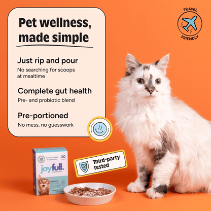 Cat sitting next to a bowl of food and a box on an orange background with text about pet wellness products.