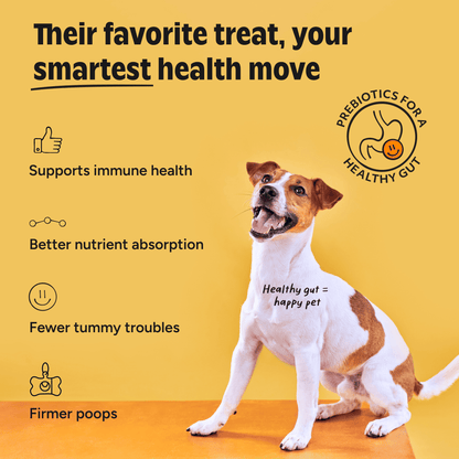 Dog on a yellow background with health benefits text and prebiotics logo.