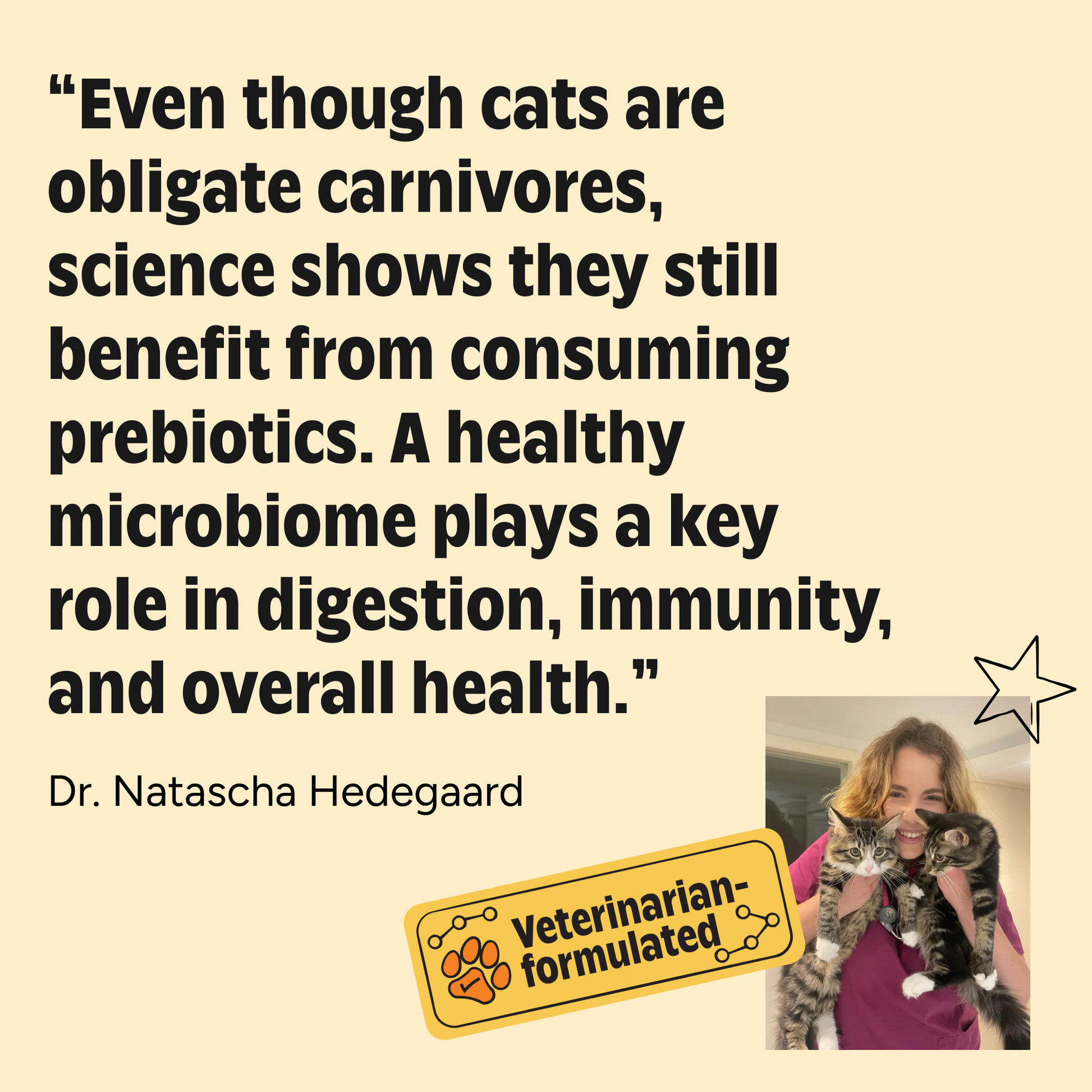 Quote about cats benefitting from prebiotics with a veterinarian and cat on a beige background