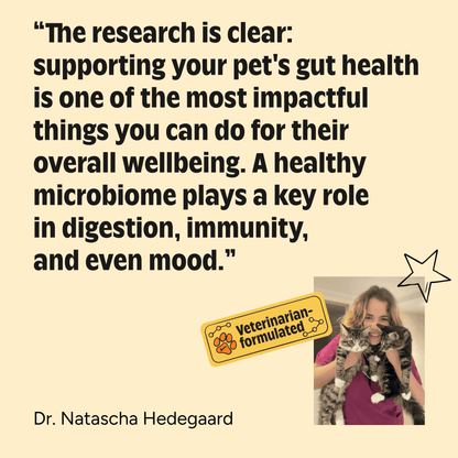 Quote about pet gut health and a veterinarian holding a cat on a beige background