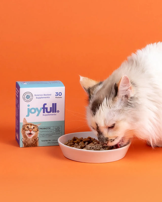 Probiotic Supplement for Cats - 30 Single-Serving Packets