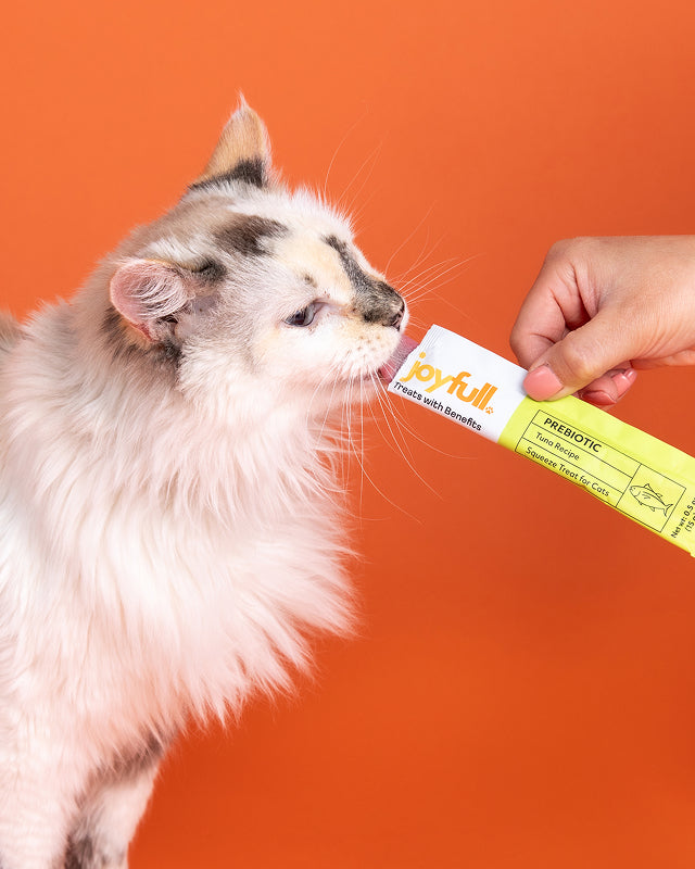 Prebiotic Tuna Squeeze Treats for Cats