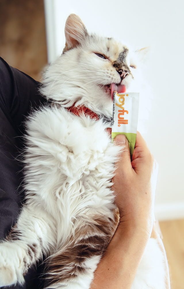 Cat Wellness Treats & Supplements