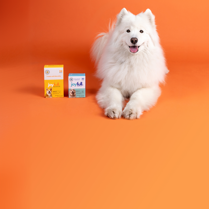 Bundle & Save $25