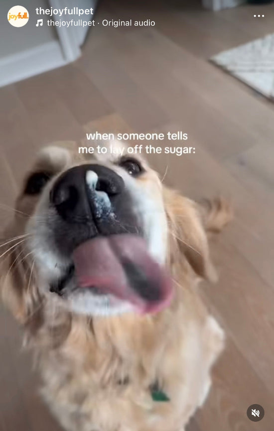 Dog with a tongue out on a wooden floor, captioned 'when someone tells me to cut off the sugar'.