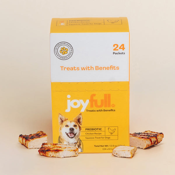 Prebiotic Chicken Squeeze Treats for Dogs - 24 Packets