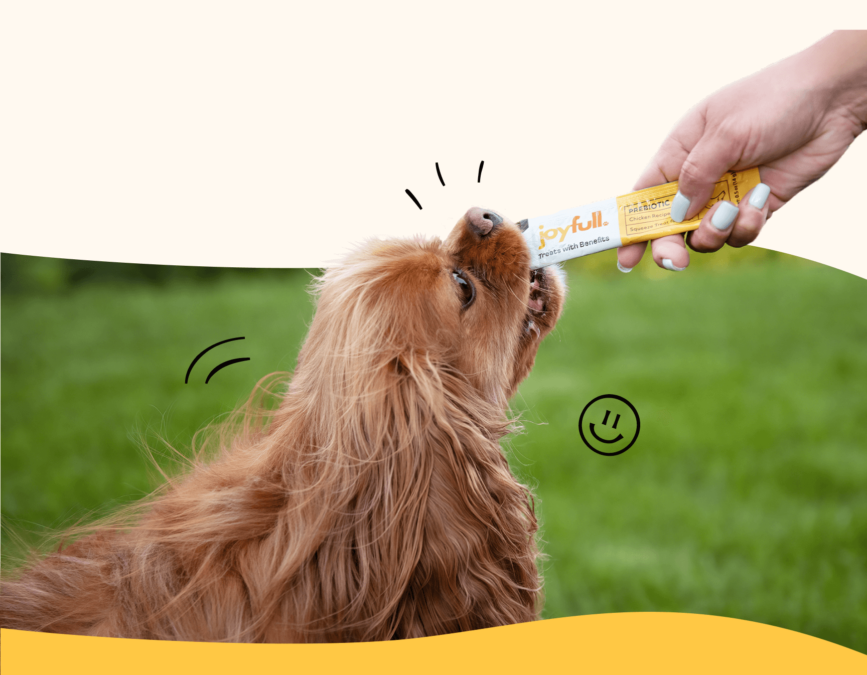 Dog about to take a treat from a hand holding a 'Joyfull' squeeze treat against a green grass background